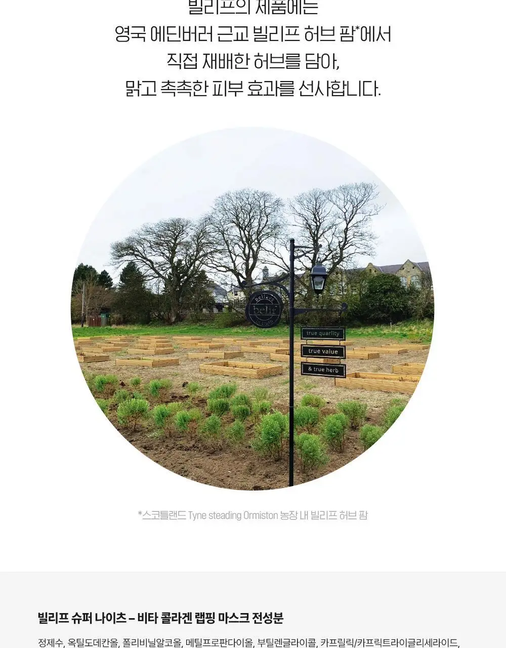 [윤광끌올] 빌리프 슈퍼나이츠 비타콜라겐 랩핑마스크 70ml 기획 (70ml + 듀얼 팩 브러쉬) 상세페이지 33